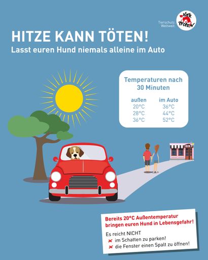 Infografik "Hitze kann töten"