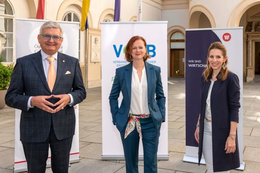 Gemeindebund, Wirtschaftsbund und der Verband
Österreichischer Entsorgungsbetriebe fordern erstmals in einer
gemeinsamen Stellungnahme die österreichweite Vereinheitlichung
aller Sammelsysteme für Leicht- und Metallverpackungen.