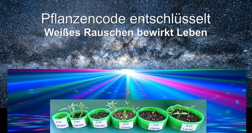  Aus dem Weltall stammendes "Weiße Rauschen
(multifrequente Hertz-Wellen)" wandelt Wasser in Längswellen um, die
bioaktiv wirken.