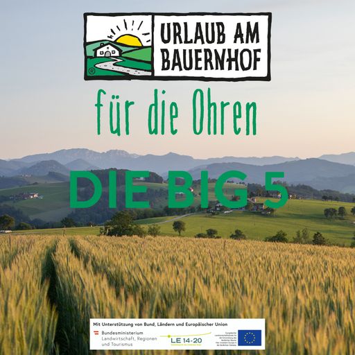 Auf die Plätze, fertig? Los! Eine Safari wartet.
Doch wer nach Löwen und Giraffen sucht, ist hier falsch. Stattdessen
wartet in den heimischen Ställen, Scheunen und Weiden das Abenteuer
mit entspannten Kühen, flotten Pferden, intelligenten Schweinen und
frechen Hühnern vor der Haustüre.
