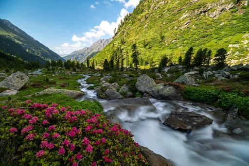 Vorschau Bild von Ohne die vielen Wegbereiterinnen und Wegbereiter würde es das
Dorfertal in Kals am Großglockner in dieser Einzigartigkeit nicht
mehr geben. Ein Stausee mit dem damals größten Kraftwerk Österreichs
wäre entstanden.