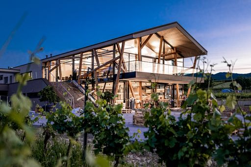  Leichtigkeit und Transparenz der Architektur
verleihen dem Weinwerk sein Alleinstellungsmerkmal.