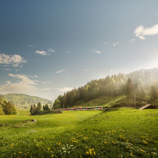 Luzern-Interlaken Express auf dem Brünig,
Zentralschweiz