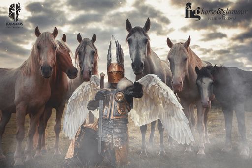 Vorschau Bild von Neue Stuntshow der Stuntreitergruppe Haraldos