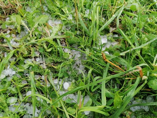 Hagel - Grünland - Oberneukirchen