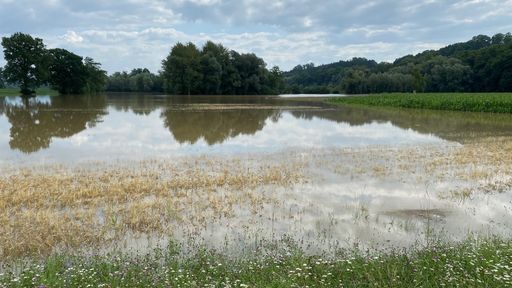 Vorschau Bild von überschwemmte Agrarfläche in Ardagger (NÖ)