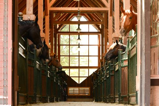 Vorschau Bild von Stall der Pferdeklappe des Österreichischen Tierschutzverein