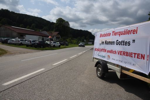  ANIMAL SPIRIT-Transparent gegen betäubungsloses
Schächten vor türkischem Schächt-Schlachthof in Laaben, NÖ.