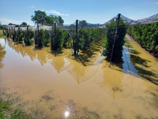 Unwetterschäden in einer Obstanlage in Mariatrost