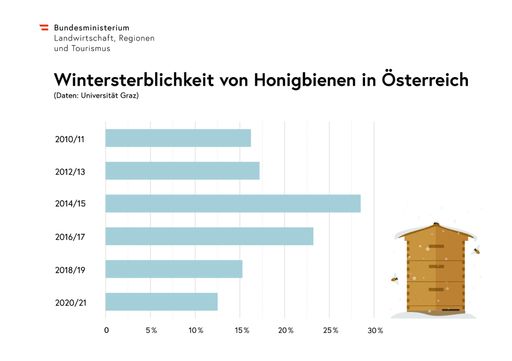 Vorschau Bild von Wintersterblichkeit