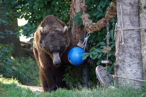 Ideen zur Beschäftigung der Tiere können nun auch
über die digitale Plattform ausgetauscht werden.