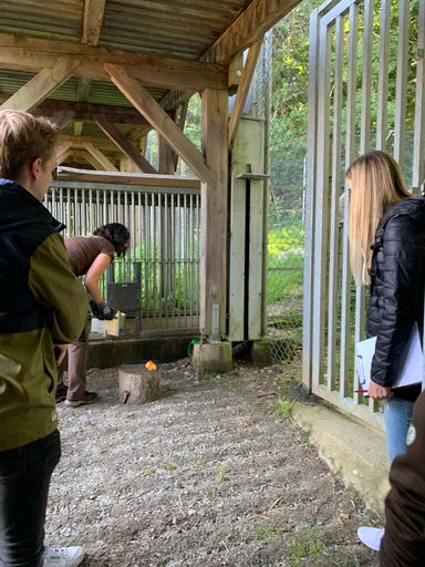 Vorschau Bild von Das Team von Parkside Interactive beobachtet die
Medikamentengabe für die Tiere, um die Software auf die Arbeitsweise
der Tierpflegerinnen und Tierpfleger hin anpassen zu können.