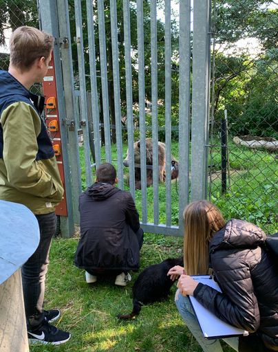Vorschau Bild von Der Bärenwald Arbesbach ist eines des
Tierschutzzentren, in denen das neue digitale System zur
Tierdatenverwaltung bereits im Einsatz ist. Das Entwicklungsteam
macht sich vor Ort einen Eindruck über die Bedürfnisse und
Anforderungen an die Software.
