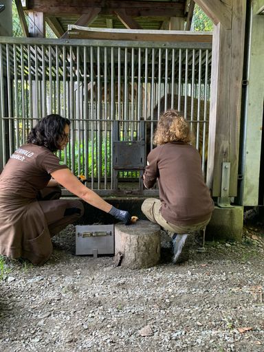 Vorschau Bild von Die Tierpflegerinnen und Tierpfleger teilen nun
Daten zur Futter- oder Medikamentengabe mit anderen
Tierschutzzentren.