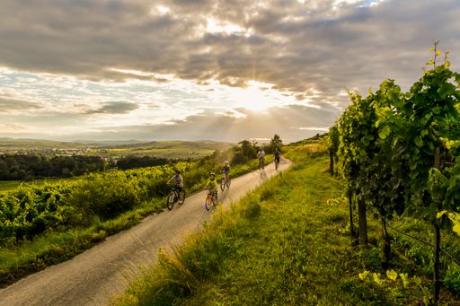 Im Waldviertel ist die Welt besonders vielfältig.
Das facettenreiche Urlaubsangebot von Natur, Gesundheit, Sport,
Geschmack und Kultur macht das Waldviertel zum zeitgemäßen
Erholungsgebiet. Das Waldviertel hat für jeden Geschmack lohnende
Ausflugsziele zu bieten. Viele davon sind mit den öffentlichen
Verkehrsmitteln einfach und klimaschonend erreichbar