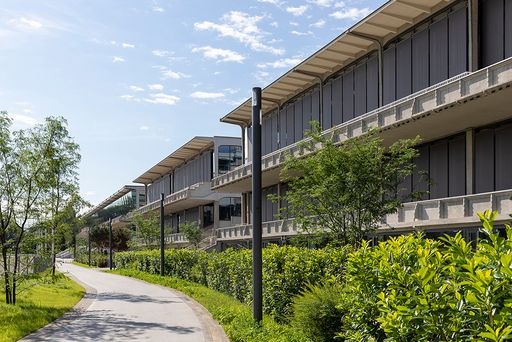 Vorschau Bild von Tribüne zwei und drei im Viertel Zwei erwachen zu
neuem Leben