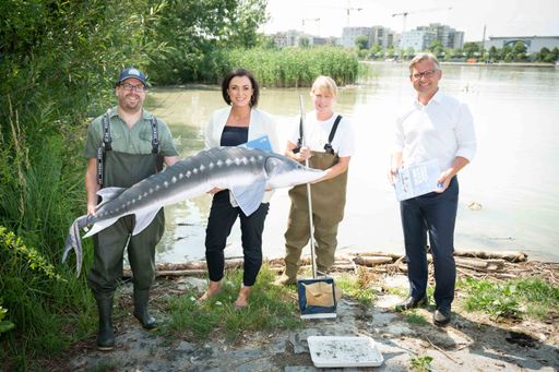 Zustand der Donau hat sich verbessert