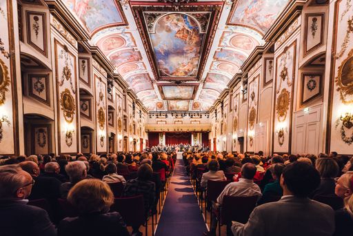 Vorschau Bild von Schloss Esterházy Haydnsaal (c) Josef Siffert