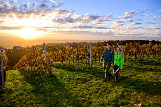 Vorschau Bild von Weinwandern: Die schönste Art, Land und Genuss zu
entdecken.