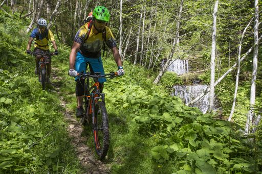 Vorschau Bild von Die Natur-Trails rund um den Millstätter See sind
ein einzigartiges Erlebnis