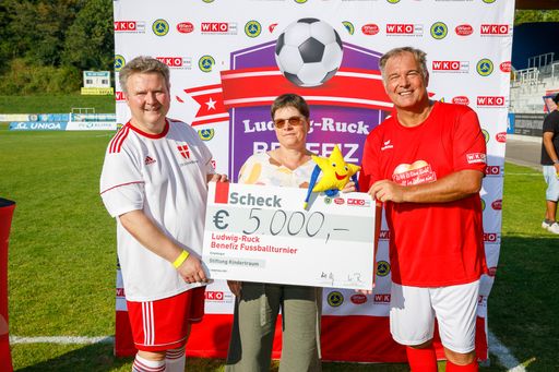 Vorschau Bild von Michael Ludwig, Gerda Schönsgibl und Walter Ruck