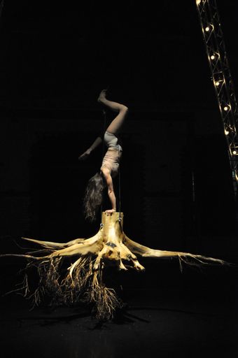 Vorschau Bild von Striking Roots into the Void, Konzert der Band am
17. & 18. September in Scheibbs