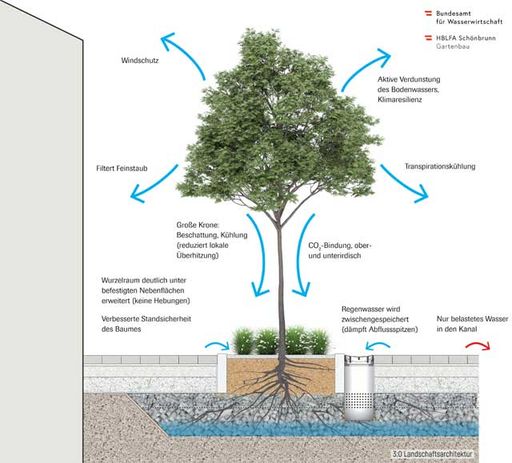 Vorschau Bild von Das Schwammstadt-Prinzip