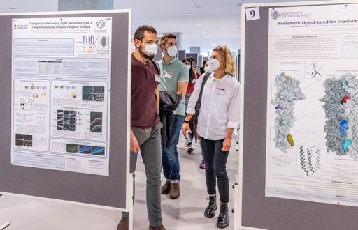 Vorschau Bild von Poster-Ausstellung beim ANA-Kongress