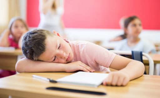 Täglich rauchen in der Schule die Köpfe unserer
Kleinen. Mit den richtigen Nährstoffen kann man dem psychischen
Stress gut entgegenwirken.