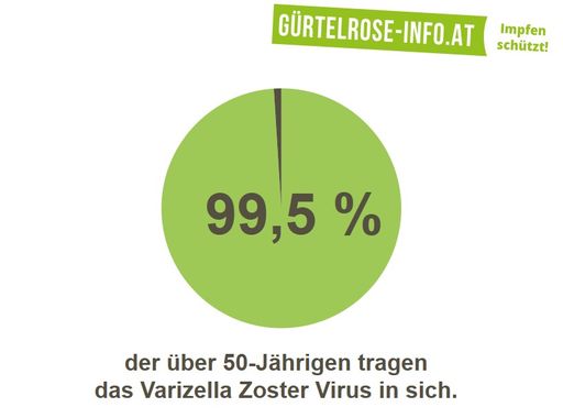 Vorschau Bild von Infographik zur Gürtelrose 3: Jede/r Dritte
erkrankt im Laufe des Lebens an Gürtelrose – Informationskampagne
klärt nun auf