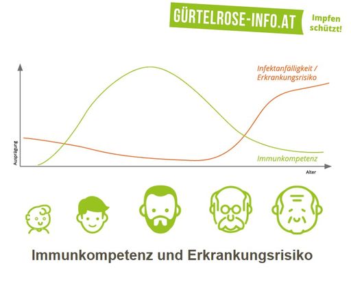 Vorschau Bild von Infographik zur Gürtelrose 4:Jede/r Dritte erkrankt
im Laufe des Lebens an Gürtelrose – Informationskampagne klärt nun
auf