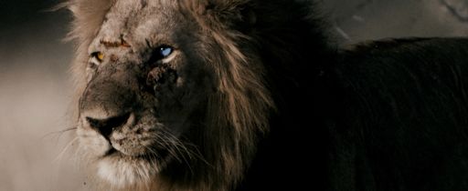 Vorschau Bild von Der Hauptcharakter, The Bastard King, gesprochen von David
Oyelowo.