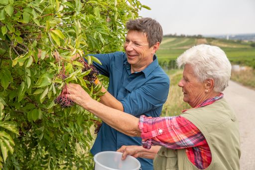  Der Verein Regionale Gehölzvermehrung besammelt
jedes Jahr mehreren hundert natürliche Wildgehölzbeständen in
verschiedenen Regionen Österreichs. Streng nach Herkunft getrennt,
werden die Früchte zu hochwertigem Saatgut aufbereitet, aus dem in
den RGV-Partnerbaumschulen kräftige Jungpflanzen für den Heckentag
herangezogen werden.