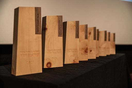 Vorschau Bild von Zum 20. Mal hat das Innsbruck Nature Film Festival
die Preise im internationalen Filmwettbewerb vergeben.