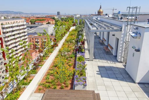 „Wien-Süd“: Verantwortung in Zeiten der Klimakrise
- Biotope City Wienerberg