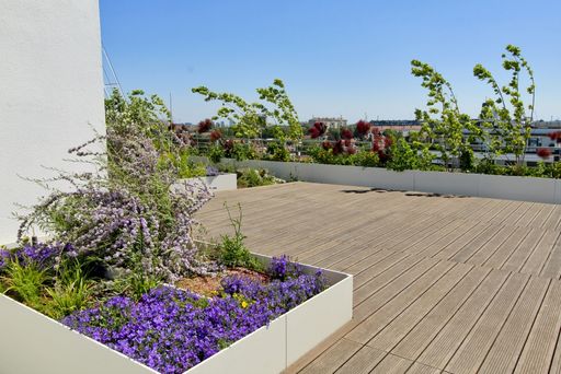 Vorschau Bild von „Wien-Süd“: Verantwortung in Zeiten der Klimakrise -
Biotope City Wienerberg