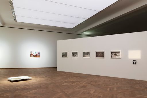 Vorschau Bild von Leopold Museum Wien, Ö1 Talentestipendium 2021,
Arbeiten von Rosa Andraschek