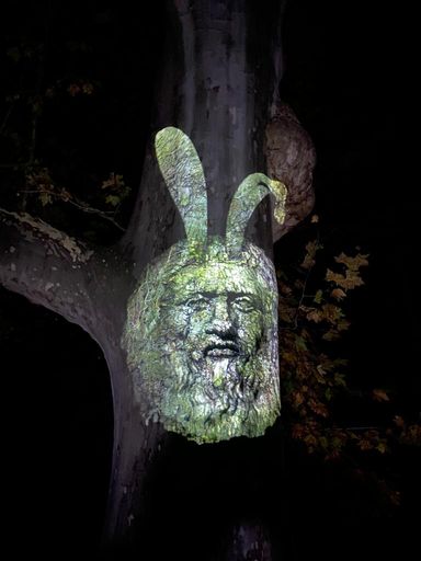 Vorschau Bild von Illumina, der magische Lichtergarten im Schlosspark
Laxenburg Der sprechende Baum