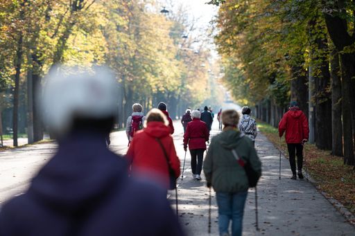 Vorschau Bild von WiG-Herbstwalk "Bewegte Apotheke" - im Wiener
Prater wird gemeinsam in den Herbst gewalkt
