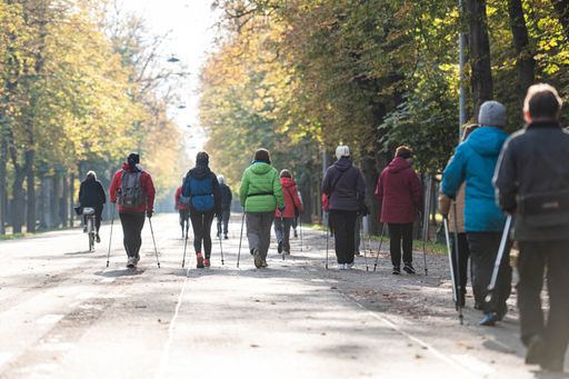 Vorschau Bild von Rund 100 begeisterte Nordic Walker*innen aus ganz
Wien haben die langjährige Tradition des Herbstwalks „Bewegte
Apotheke“ der Wiener Gesundheitsförderung nach der Covid-19-Pause
wiederaufgenommen
