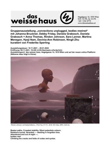 Vorschau Bild von Pressemappe zur Ausstellung "connections unplugged, bodies rewired"