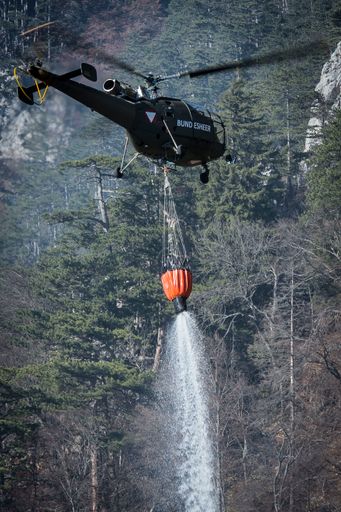 Vorschau Bild von Löscheinsatz Waldbrand im Rax-Gebiet am 31 10 2021