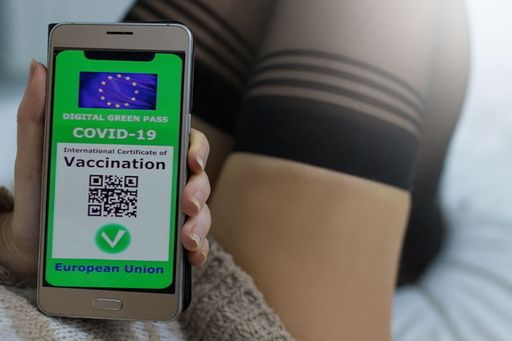 Escort Girl zeigt Coronavirus Green Pass auf dem
Handy