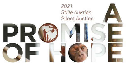  Sujet Stille Auktion A Promise of Hope
