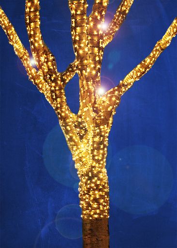 Weihnachtsbeleuchtung im Servitenviertel