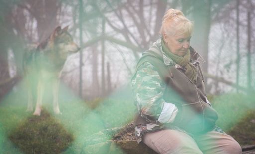"Mischa und die Wölfe" im Dokumentarfilmfestival auf ARTE /
Aktuelle Streamingtipps aus der ARTE-Mediathek - Zweite
Novemberhälfte / Weiterer Text über ots und
www.presseportal.de/nr/9021 / Die Verwendung dieses Bildes ist für
redaktionelle Zwecke unter Beachtung ggf. genannter
Nutzungsbedingungen honorarfrei. Veröffentlichung bitte mit
Bildrechte-Hinweis.