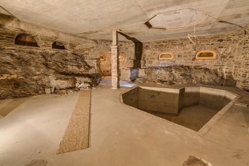 Vorschau Bild von Im Keller plante Maximilian Schell einen Pool und
eine Natursauna