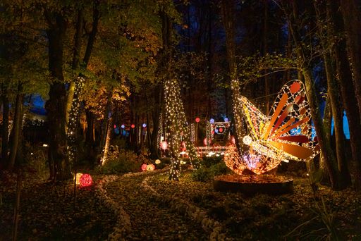  Domäne Lilienberg Lichterpark & Adventzauber