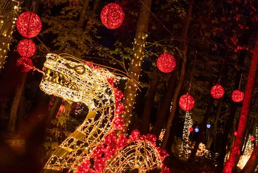 Vorschau Bild von Domäne Lilienberg Lichterpark & Adventzauber