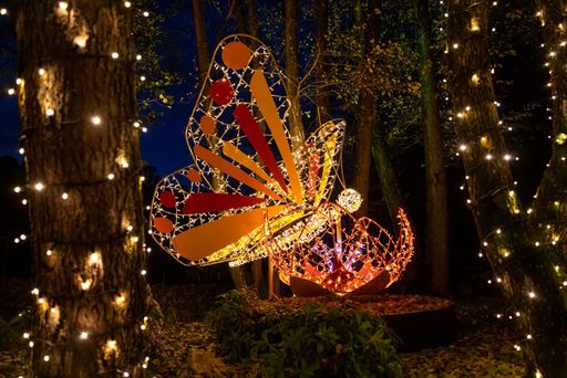 Vorschau Bild von Domäne Lilienberg Lichterpark & Adventzauber